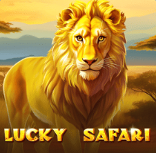 Slot 31 - VOX Casino